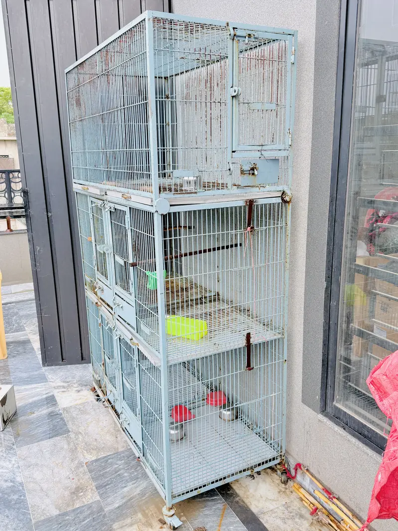 Birds Cage for sale — photo 2