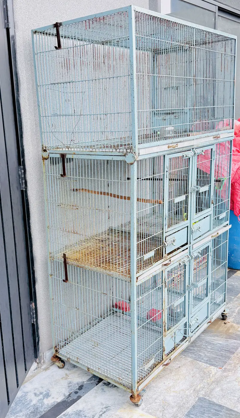 Birds Cage for sale — photo 3