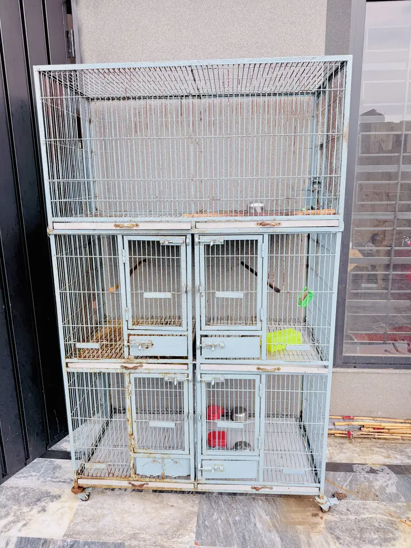 Birds Cage for sale — photo 4