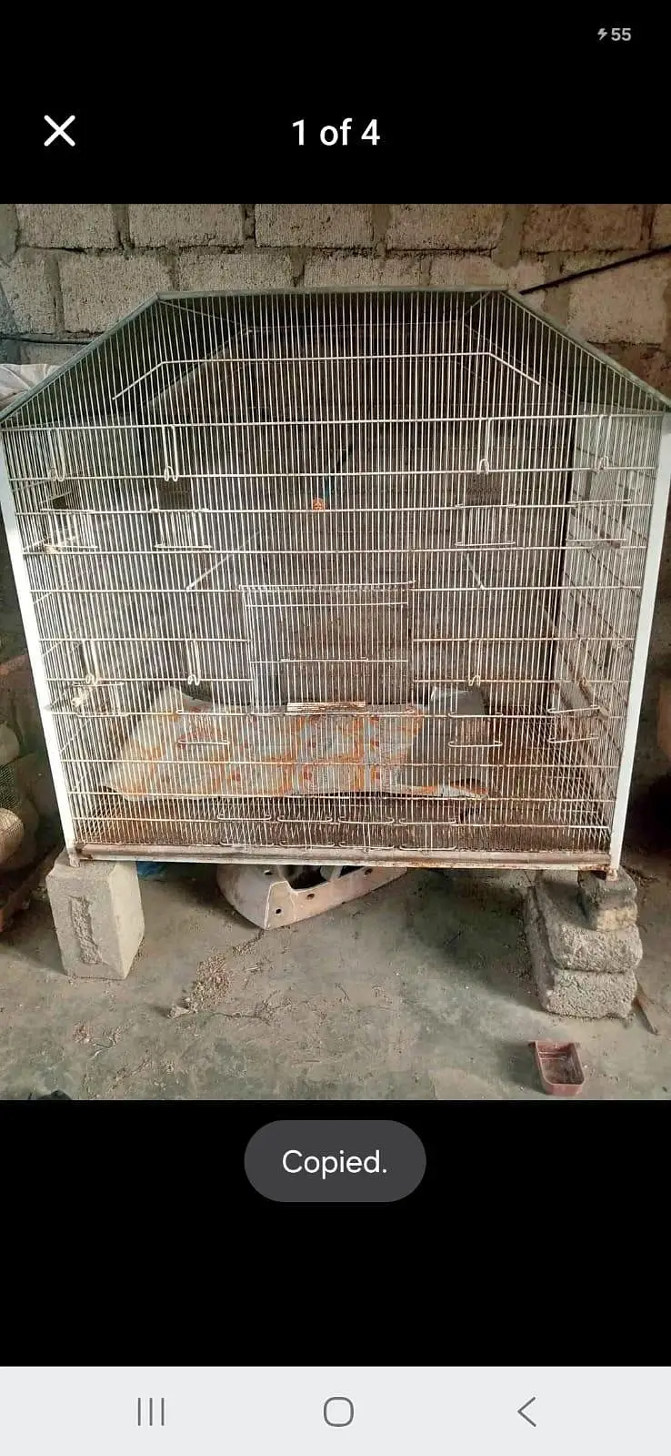arjant sell — photo 2