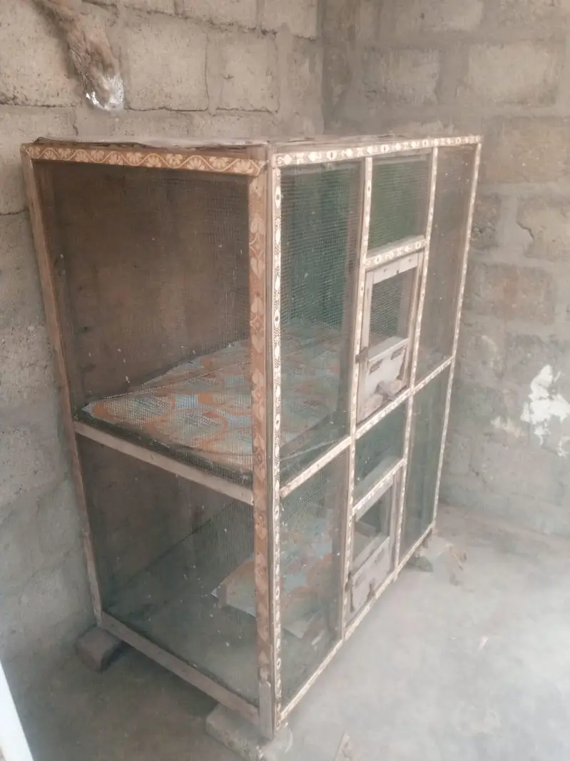 arjant sell — photo 4