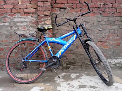 Imported Bicycle