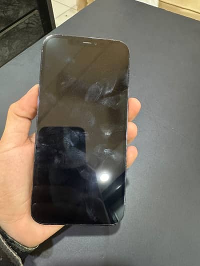 Apple iPhone 12 Pro Max