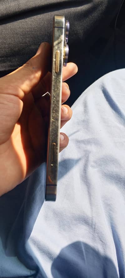 Apple iPhone XR convert to 14 pro max