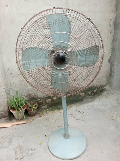 Pedestal Fan 24 inch