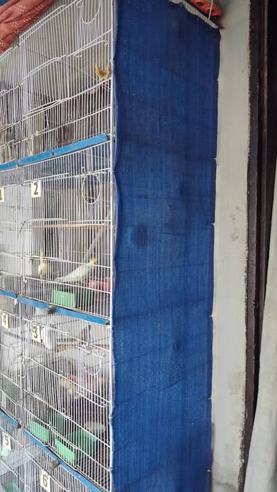 8 cage pinjra for sale without birds
