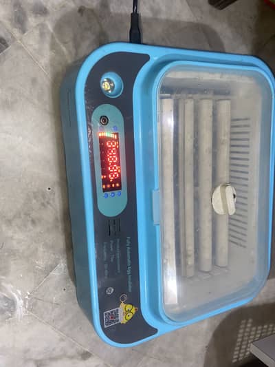 Automatic incubator