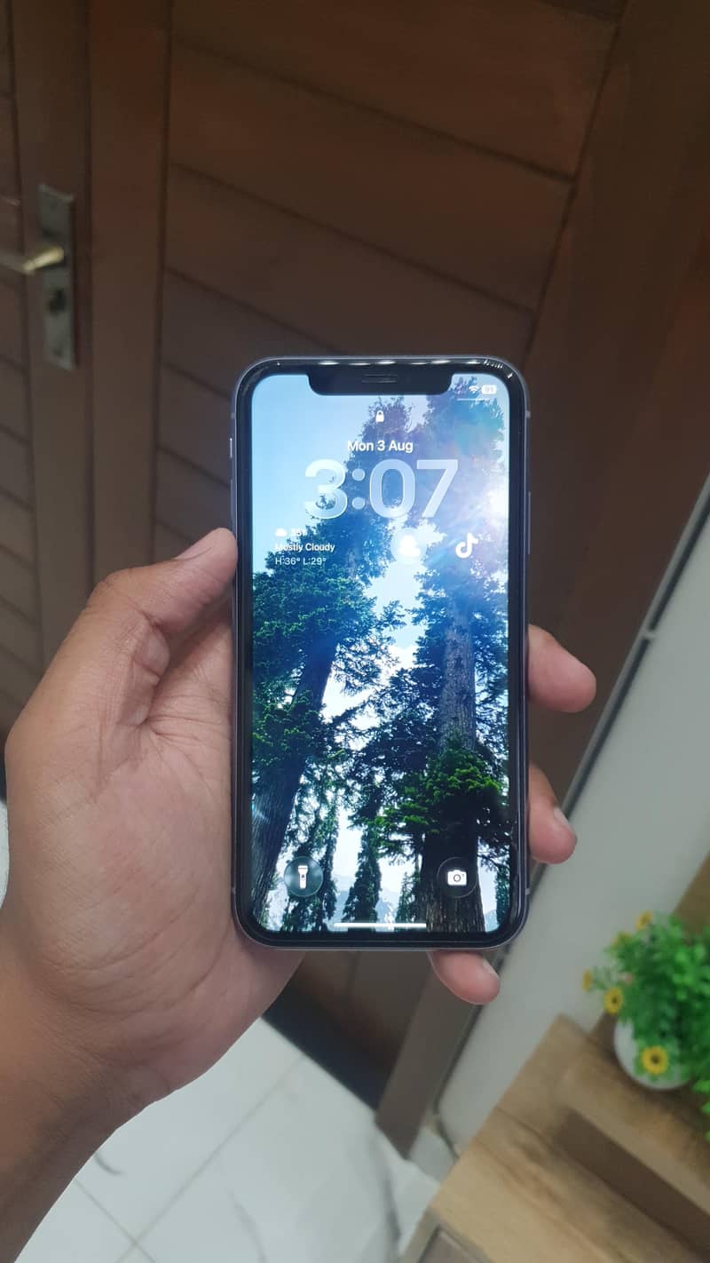 Apple iPhone 11 3