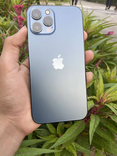 Apple iPhone 12 Pro Max