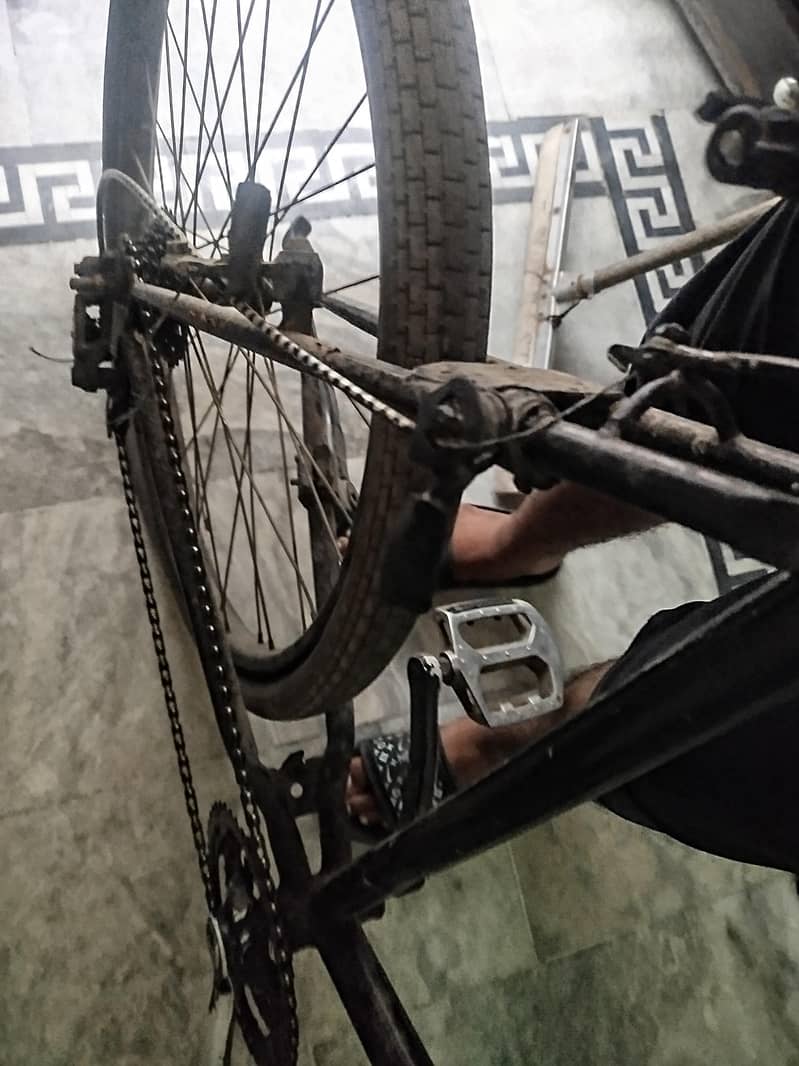 bicycle 2