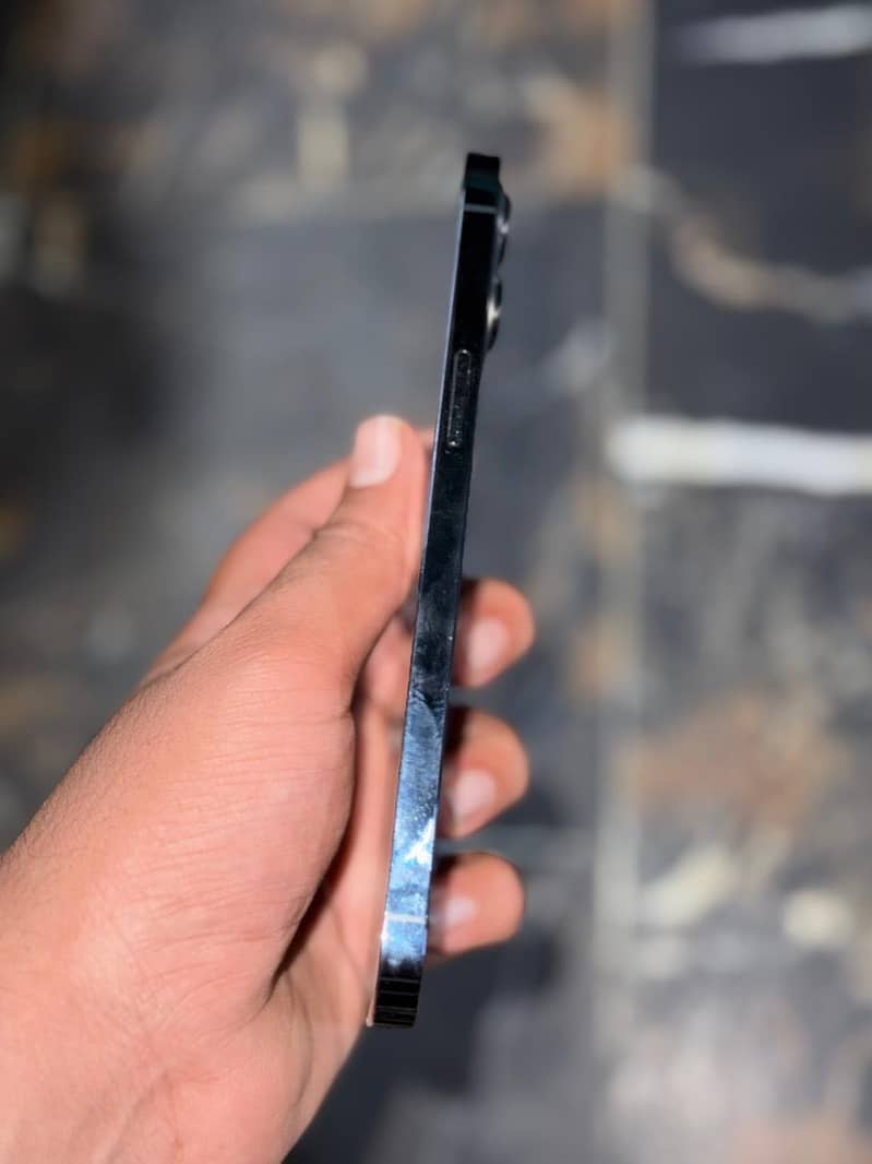 12 pro max 3