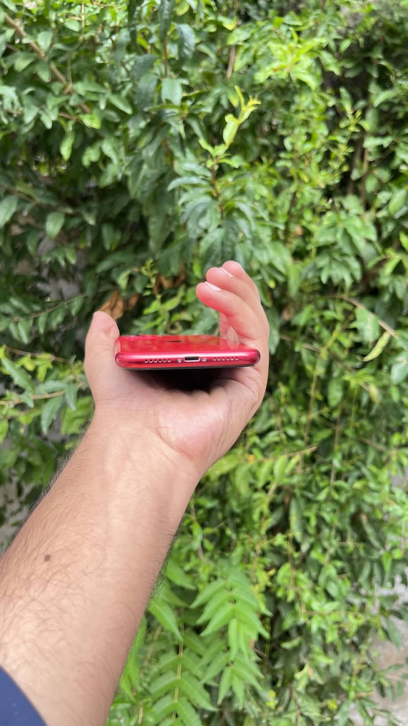 Apple iPhone 11 2
