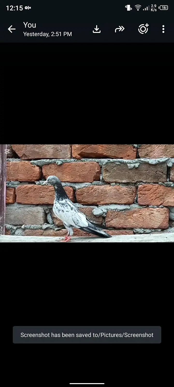 royal teedy and mehron Wala cross pathi — photo 2
