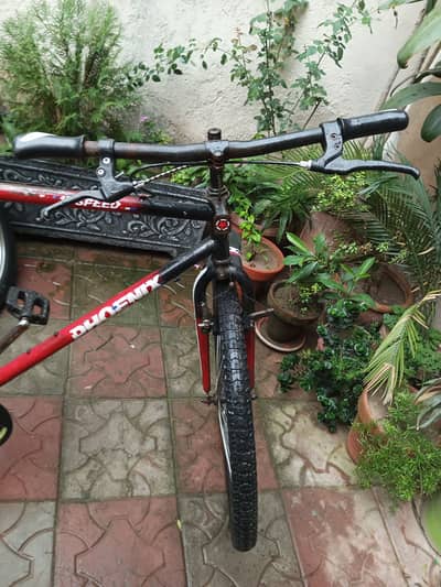 Phoenix MTB bike special edition