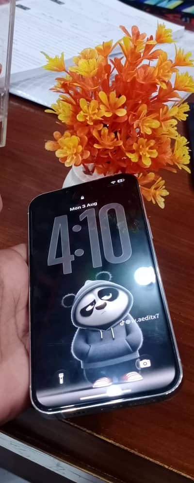 Apple iPhone 13 Pro Max