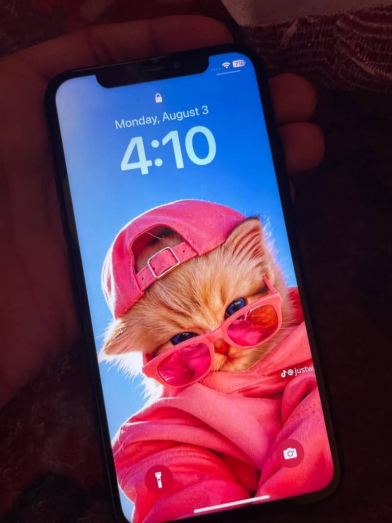 Apple iPhone X 1