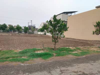 5 Marla Plot For Sale In M-Block Khayaban-e-Amin Society Lahore.