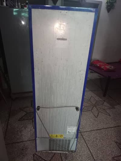 new 1 waek