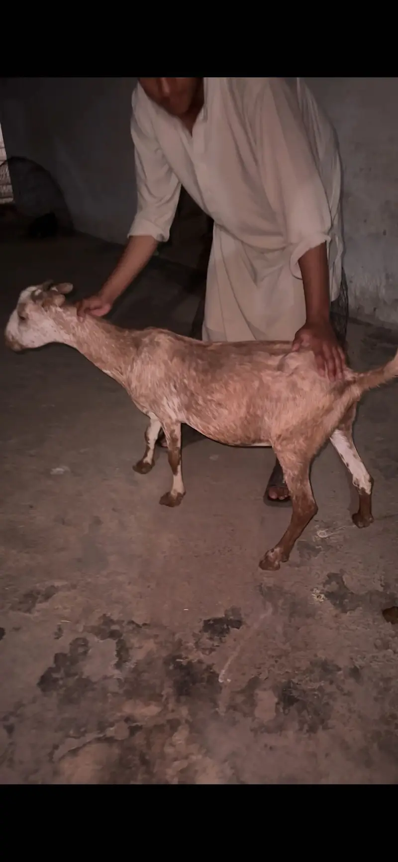 3 teda 1 beatal nagri for sale — photo 11
