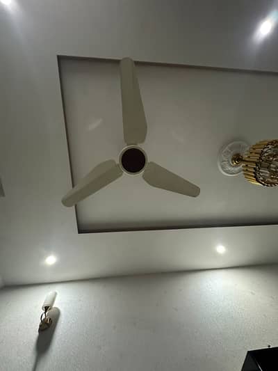 ceiling fan