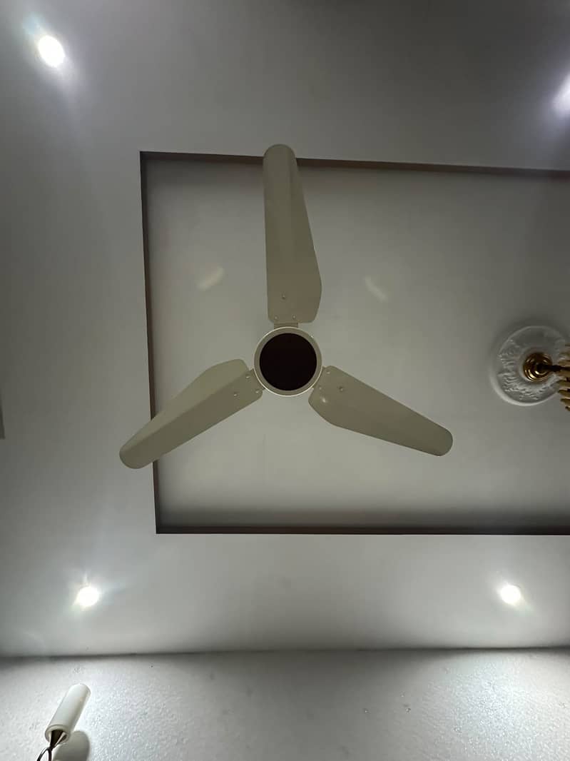 ceiling fan 1