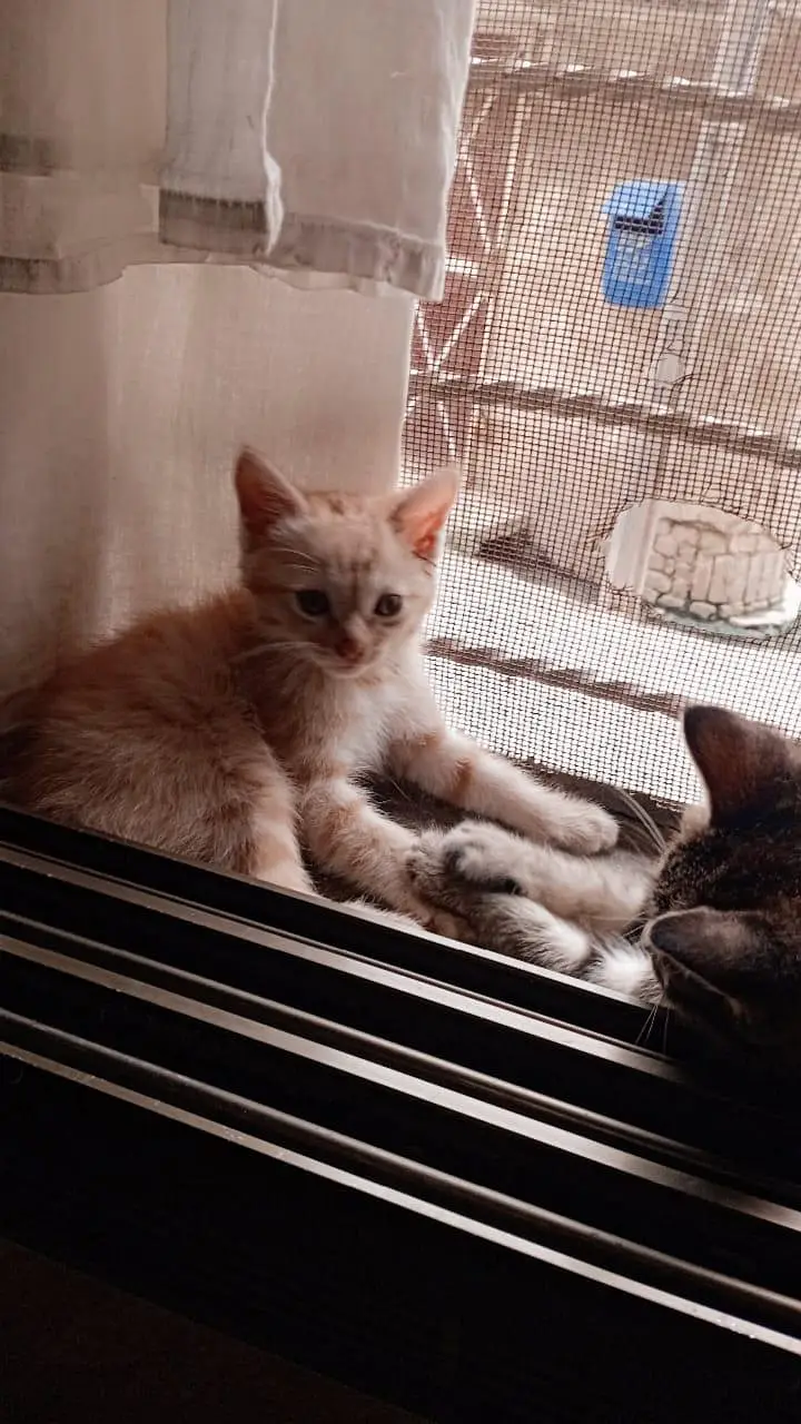 Full healthy baby — photo 4