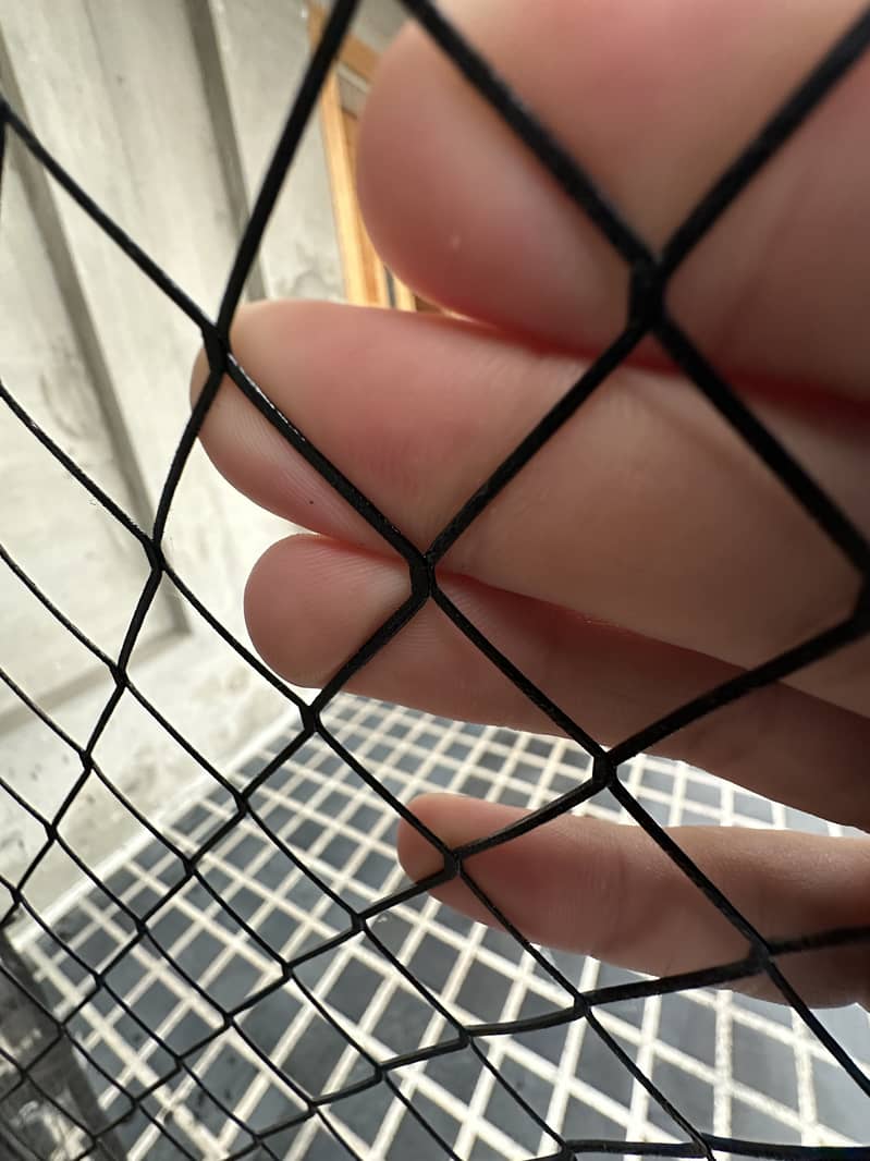 Hens cage 2