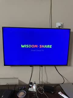 50-Inche LED TV
