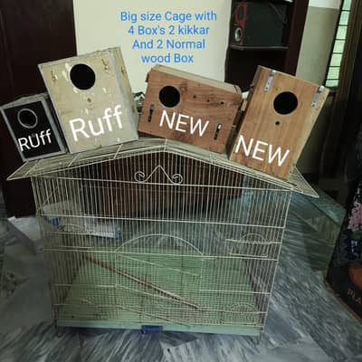 big size high quality Cage with 4 Box's Best Cage For birds pairing