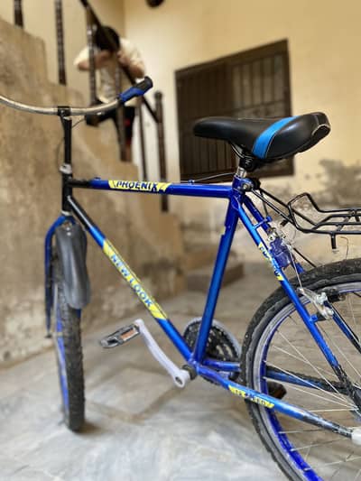Phoenix cycle