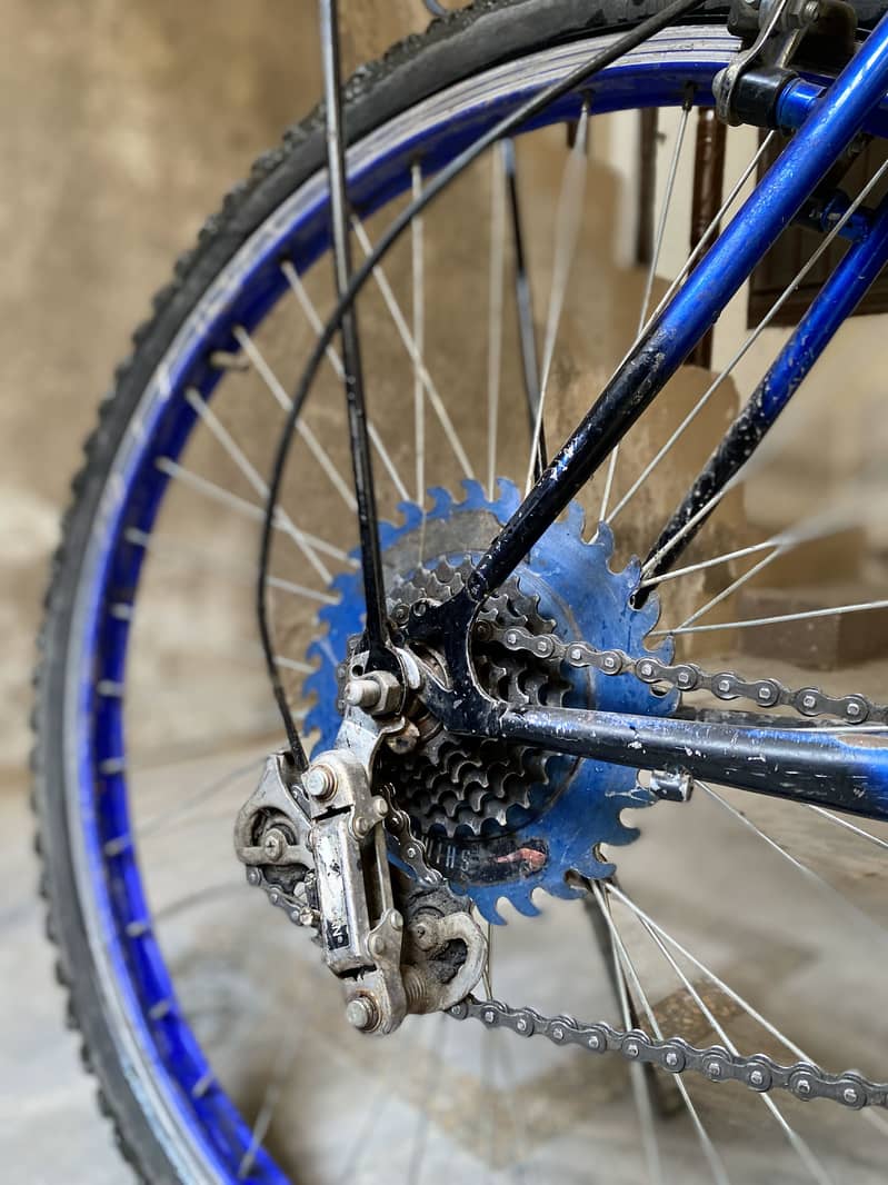 Phoenix cycle 2