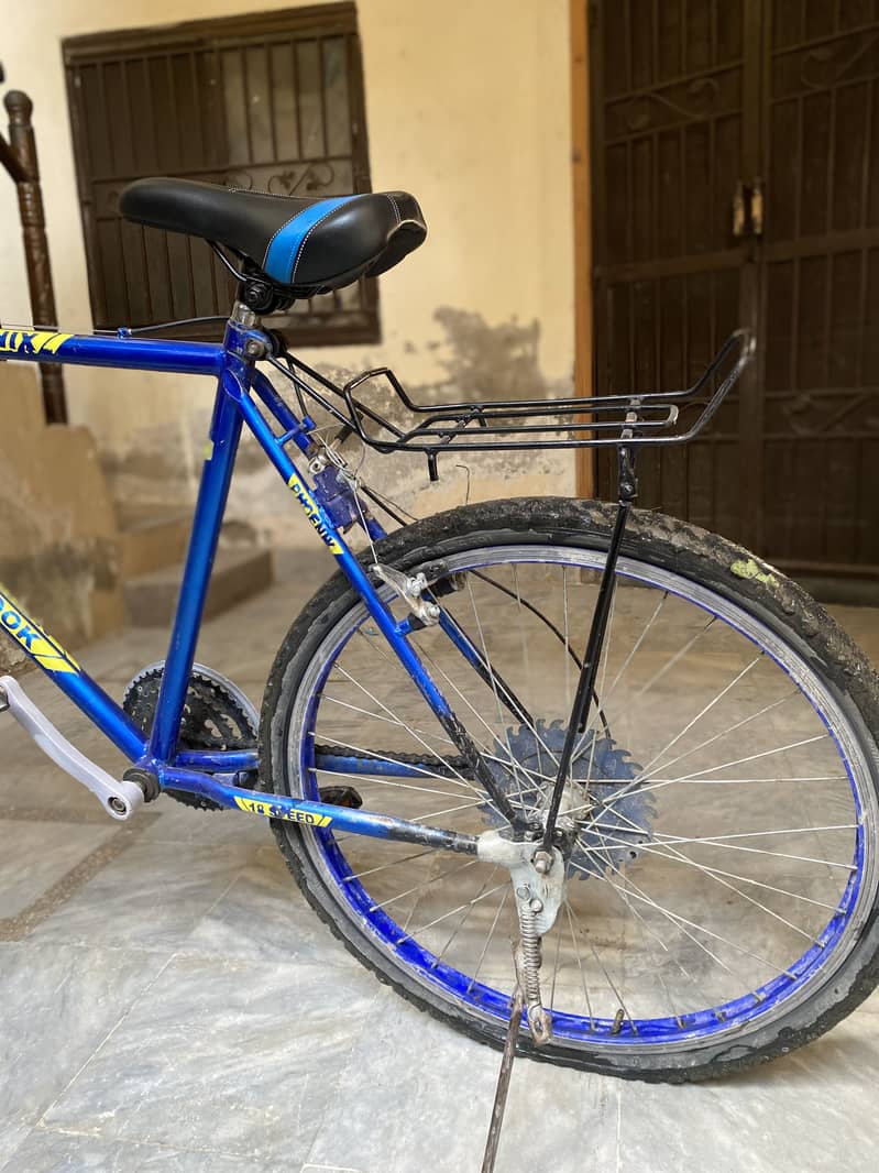 Phoenix cycle 3