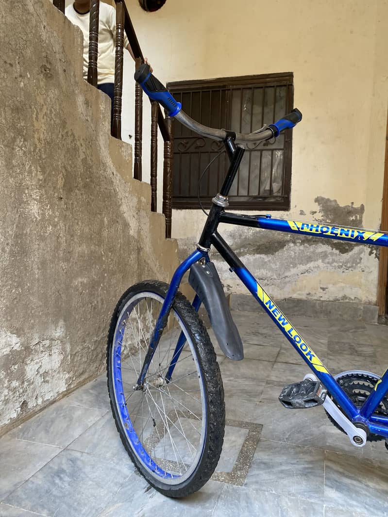 Phoenix cycle 4