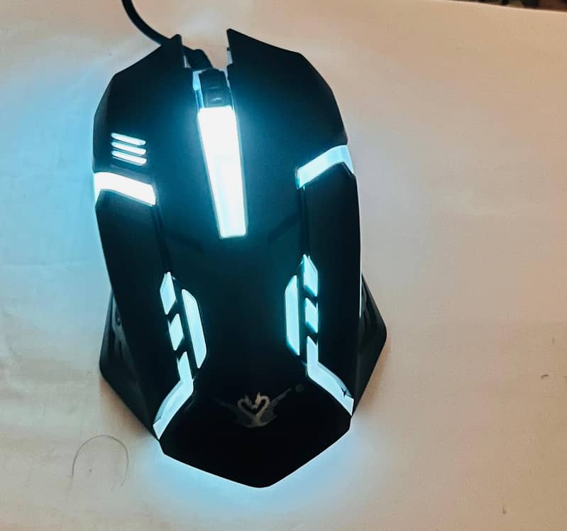 Mouse 1