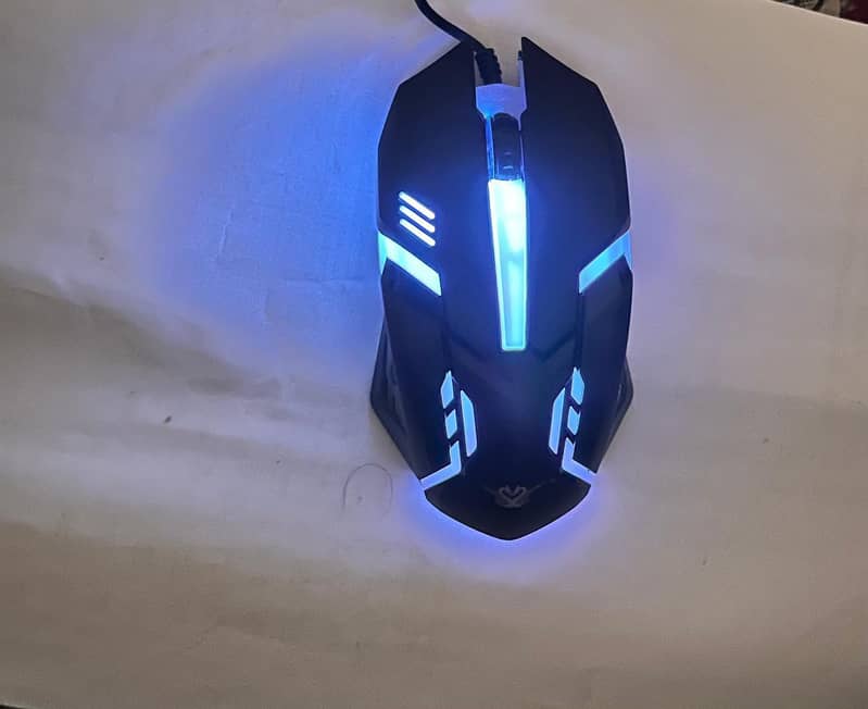 Mouse 5