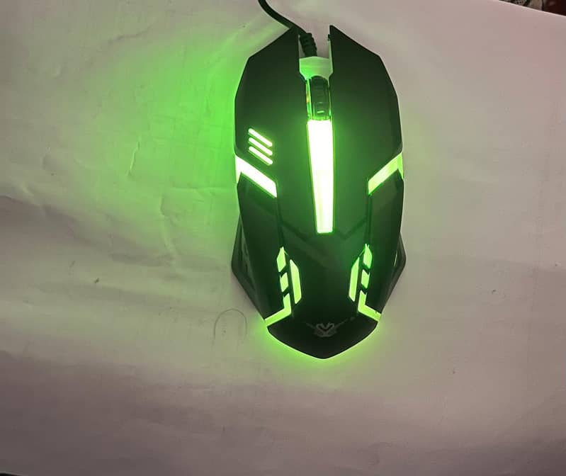 Mouse 6