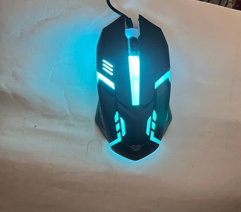 Mouse 7