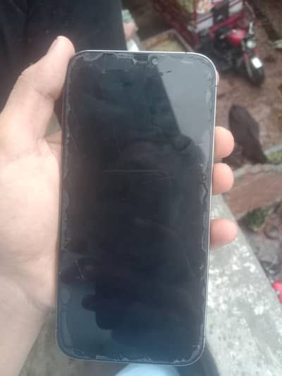 Apple iPhone 12 Pro Max