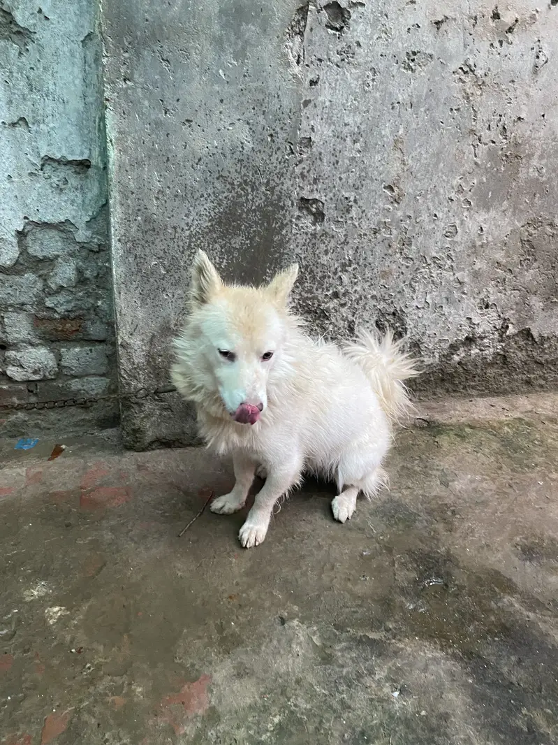 Urgent sale — photo 2