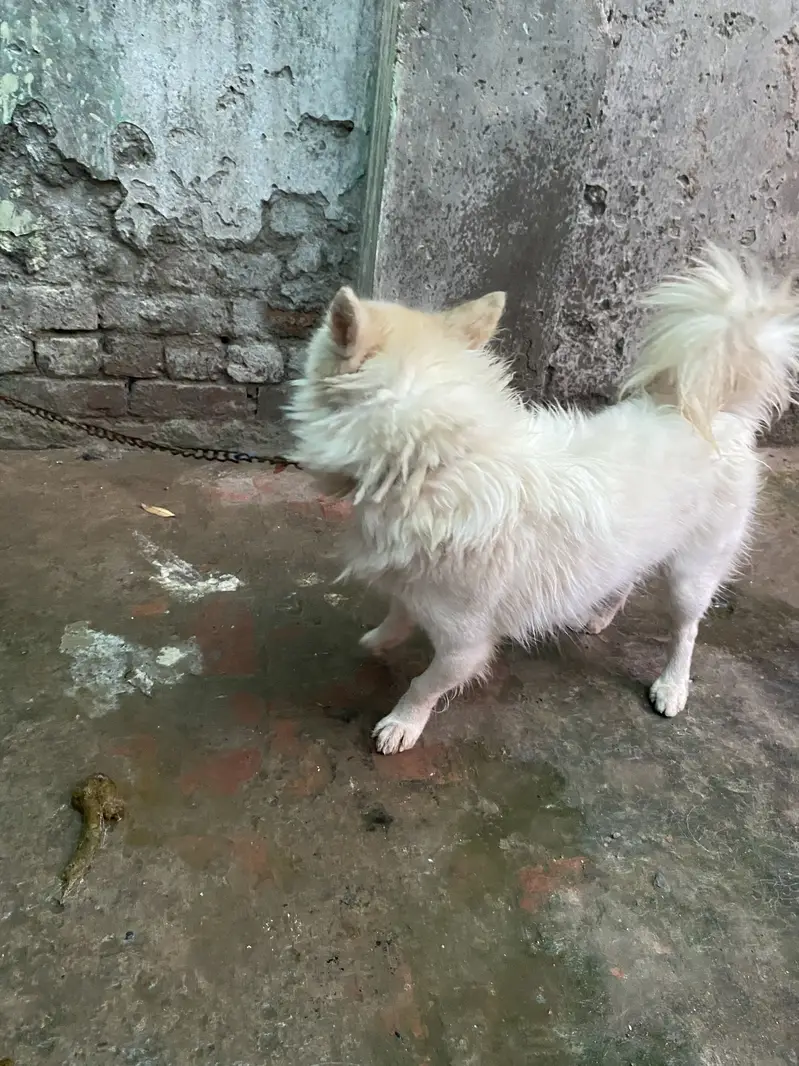 Urgent sale — photo 3