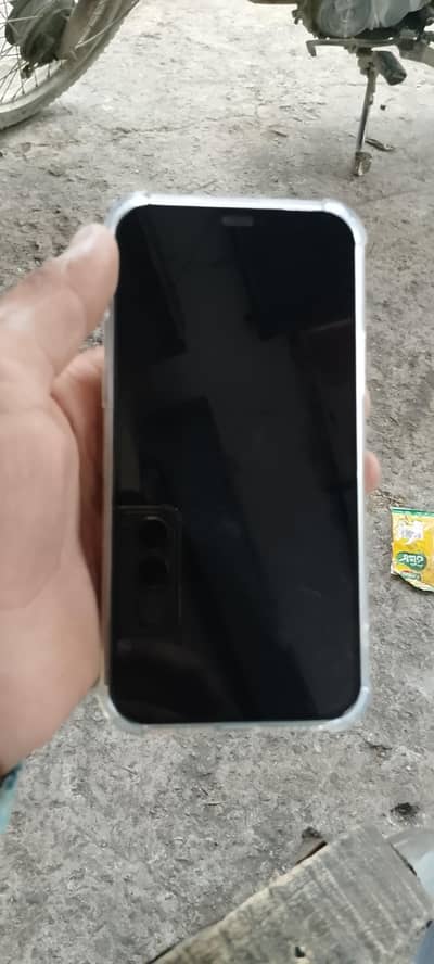 Apple iPhone 12 Pro