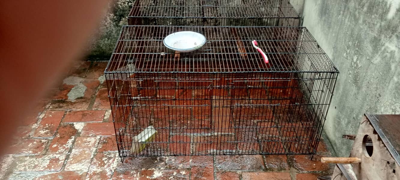 cages 2