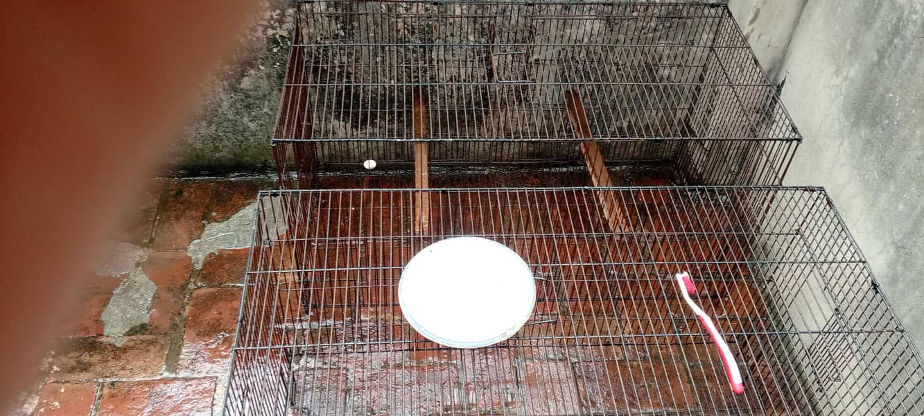 cages 3