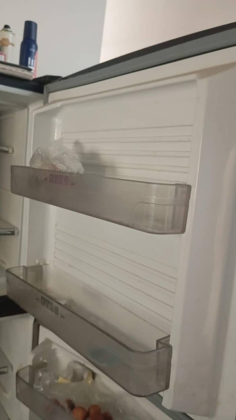 Fridge 4