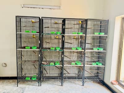Iron Cages For sale