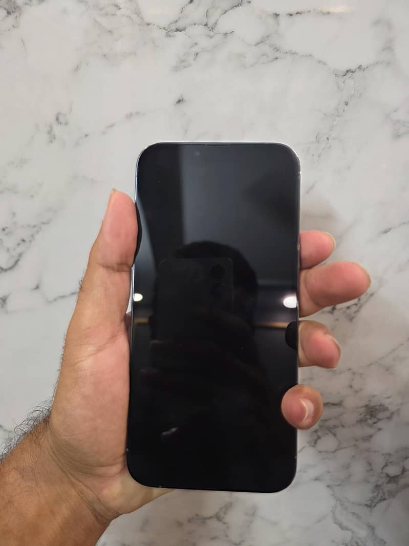 iPhone 13 Pro Max 1