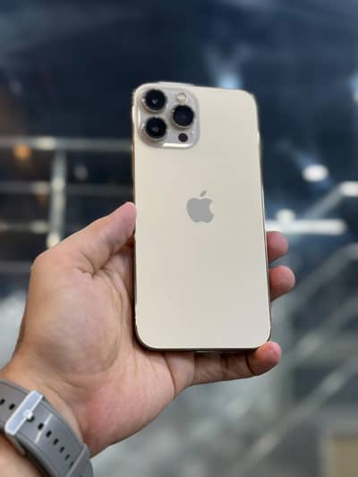Apple iPhone 13 Pro Max
