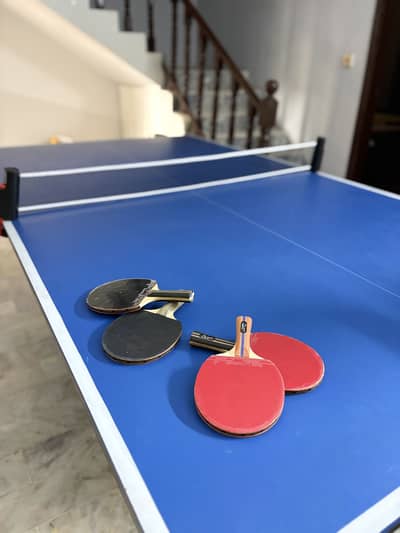 Table tennis full size