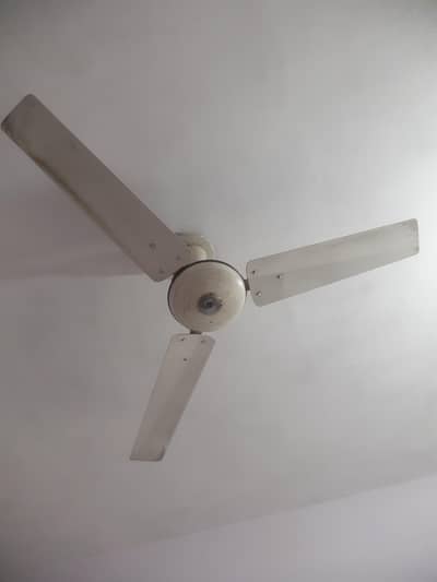 gfc fan pure copper