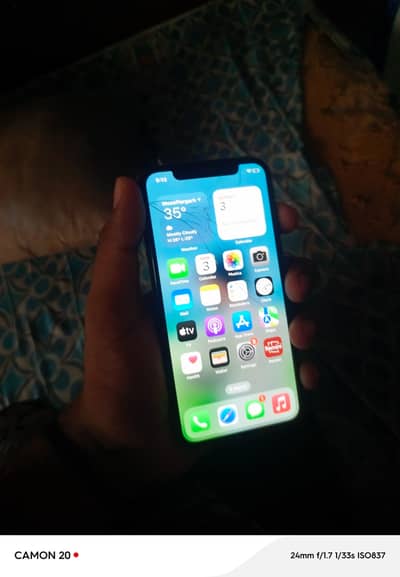 Apple iPhone X